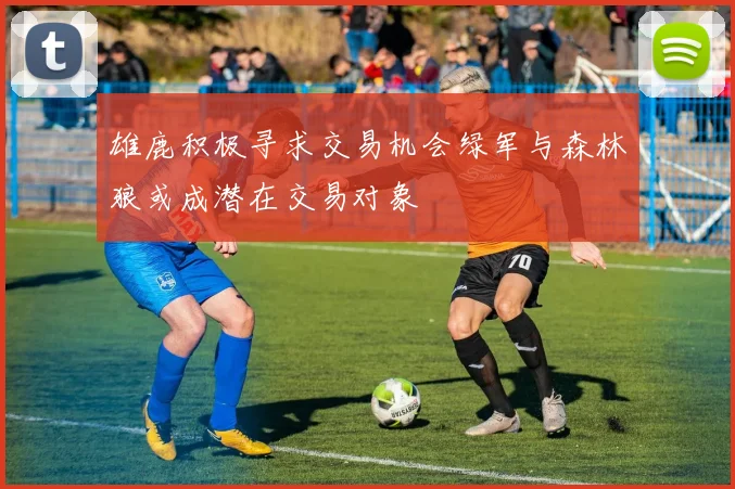 雄鹿积极寻求交易机会绿军与森林狼或成潜在交易对象