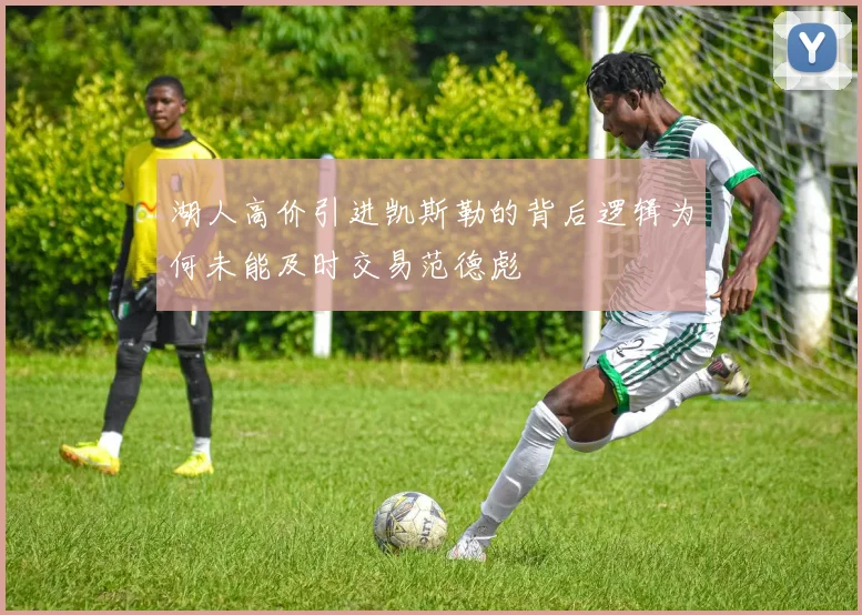 湖人高价引进凯斯勒的背后逻辑为何未能及时交易范德彪